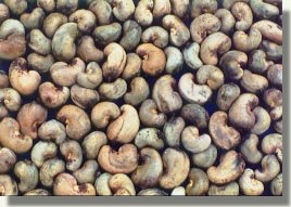 Cashew Whole Nut